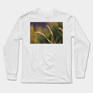 Grass and Blue II Long Sleeve T-Shirt